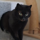 58a0a8ea-52b8-44a4-ba96-7bc6aee165e9