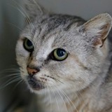 3e4194f5-cbb2-4bd1-9cf6-fedce06c8495