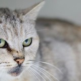 5cd7fced-e2ed-4883-ae37-a271eeed75be