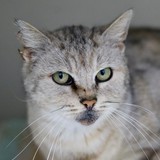 9e8b7e71-3630-4d8a-b0d8-6de5465754a3