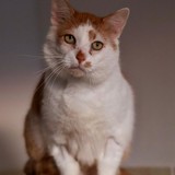 4c2edbdf-2fc0-4c78-b84a-73ed09d934f1