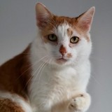 3b213533-ca52-4711-be18-934d7d900d18