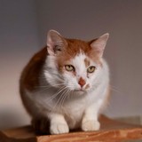 d7c20af5-5f66-4a89-b533-aeb9fafa745b