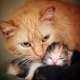 d3700ebd-fde1-4665-93f5-59c925fa7538