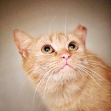 7ec6f4a1-c1f1-46dd-a12f-de302bce24f5