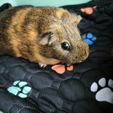 IMG_20260505_174522