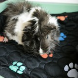 IMG_20260505_174642
