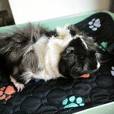 IMG_20260505_174646
