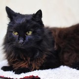 25f81108-4e0b-4d4b-8b03-ed9c11a53866