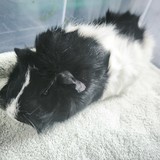 IMG_20260524_142736