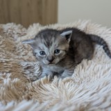 IMG-20260531-WA0050