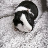 IMG_20260604_185014