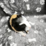 IMG_20260615_182708