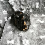 IMG_20260615_183131