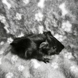 IMG_20260615_183226