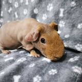 IMG_20260619_204624