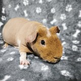 IMG_20260619_204728