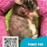 FB_IMG_1782808754595