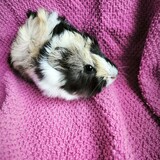 d1685464-19ca-4e88-8831-1e3933e74a26