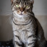 IMG_5756