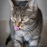 IMG_5735
