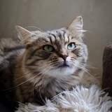 IMG_5692