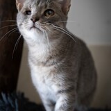 IMG_5707