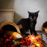 IMG_5247-2