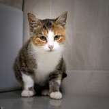 IMG_5864