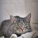 IMG_5700