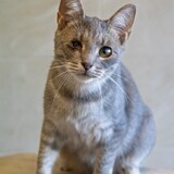 IMG_6327
