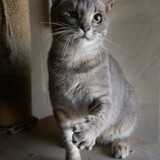 IMG_6291