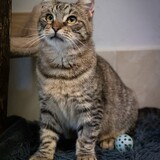 IMG_6321
