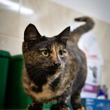 IMG_6775