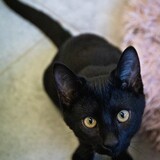 IMG_7069