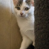 IMG_7041
