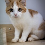 IMG_6901