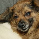 11236547_920861131314337_6436802142284705756_n