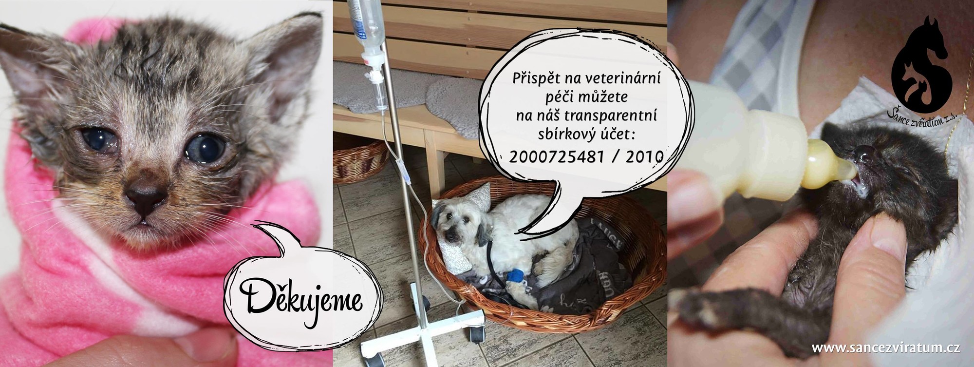 13957981_1171391116261336_2698997752392548874_o